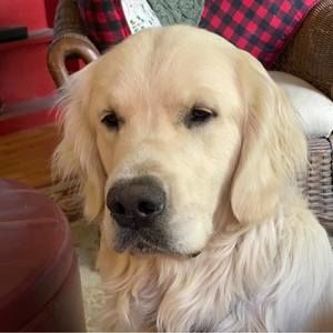 Meet your Posher, Alison